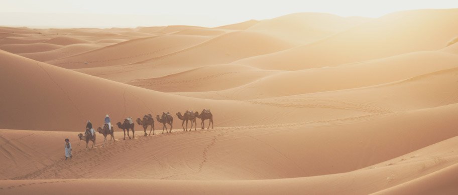 Paseo en camello en el desierto egipcio
